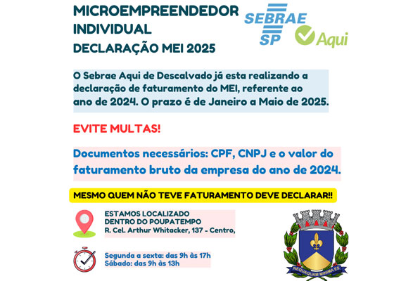 Microempreendedor Individual - Declaração MEI 2025